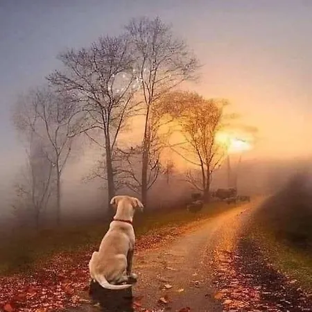 Holms Larvik موتيل 3*